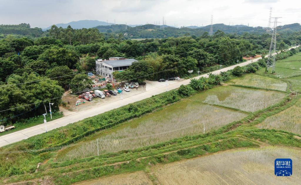 各大赌场网址